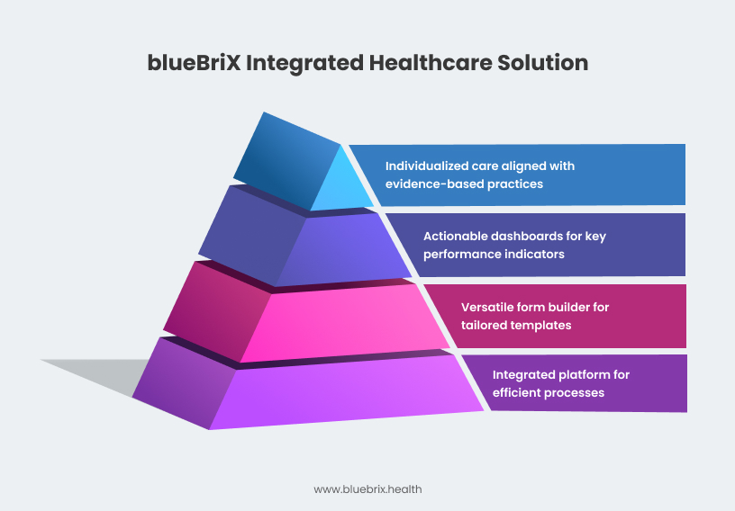 blueBriX Integrated Healthcare Solution