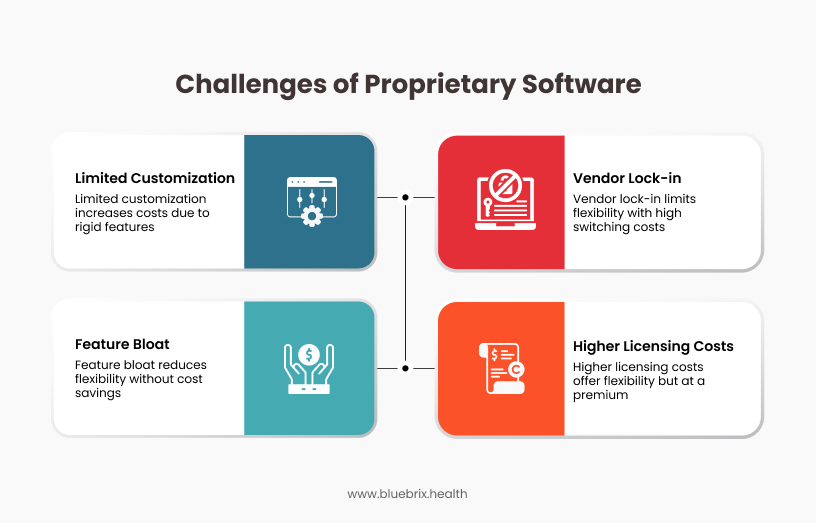 Challenges of Proprietary Software