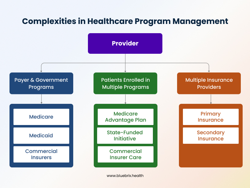 Complexities in Healthcare Program Management