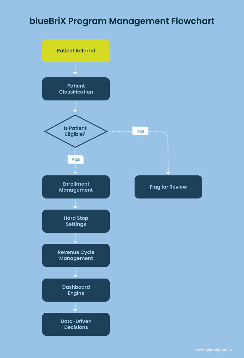 blueBriX Program Management Flowchart
