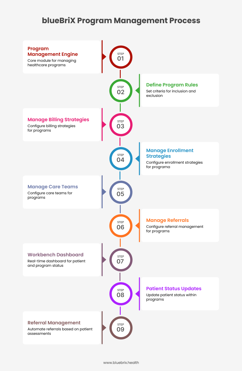 blueBriX Program Management Process