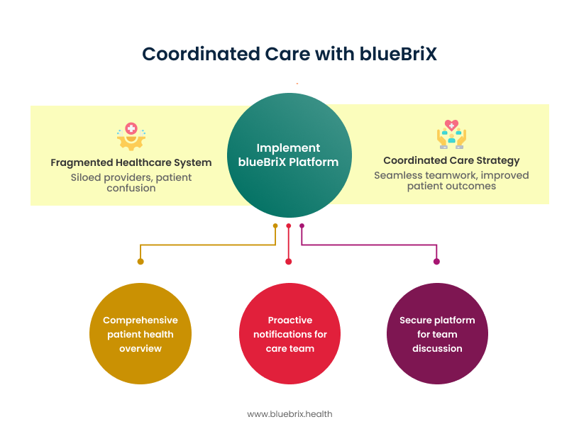 Coordinated Care with blueBriX