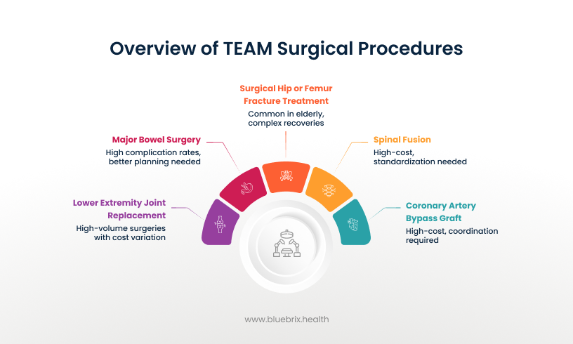 Overview of TEAM Surgical Procedures