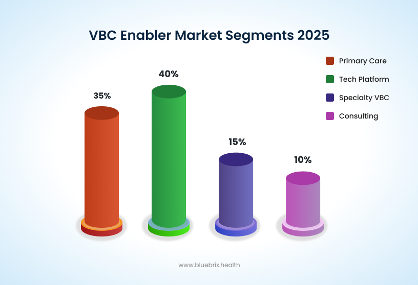 VBC Enabler market Segments 2025