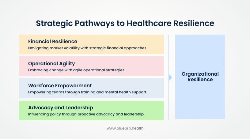 Strategic Pathways to Healthcare Resilience