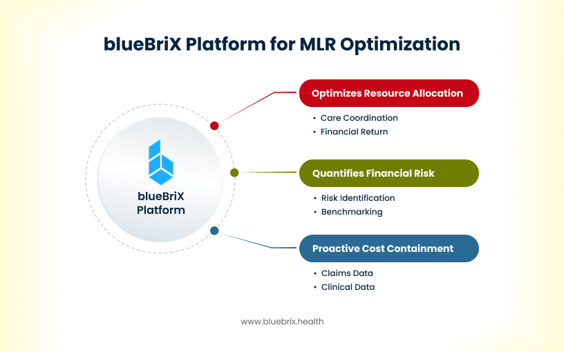 blueBriX Platform for MLR Optimization