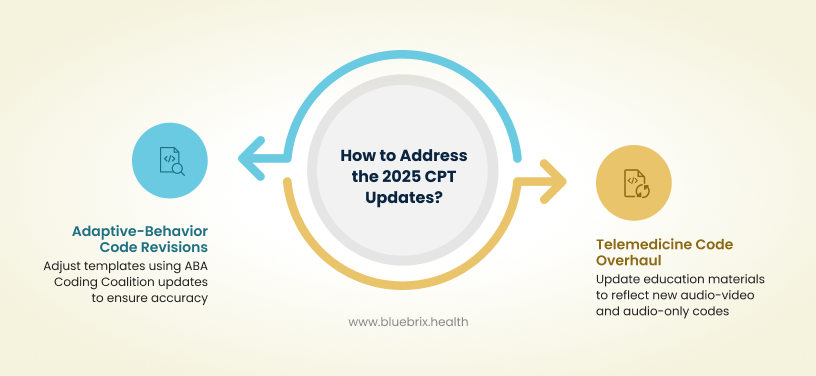 Address the 2025 CPT Updates