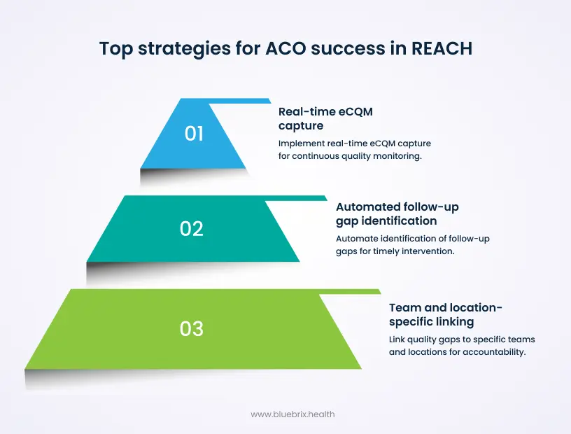 Top Strategies for ACO Success in REACH