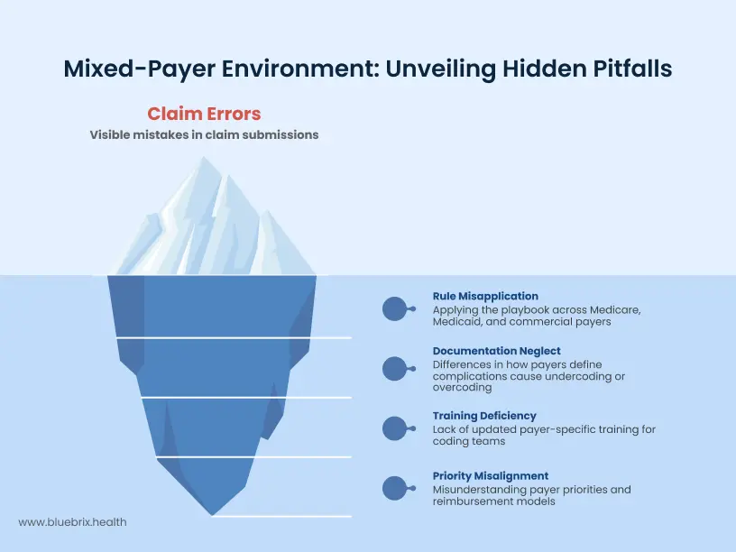 Mixed Payer Environment Unveiling Hidden Pitfalls