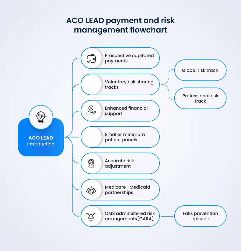 ACO LEAD payment and risk management flowchart