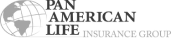 home-what-we-do-pan-american-logo
