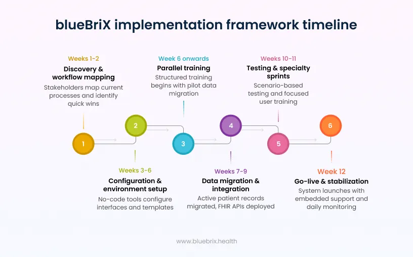 blueBrix implementation framework timeline