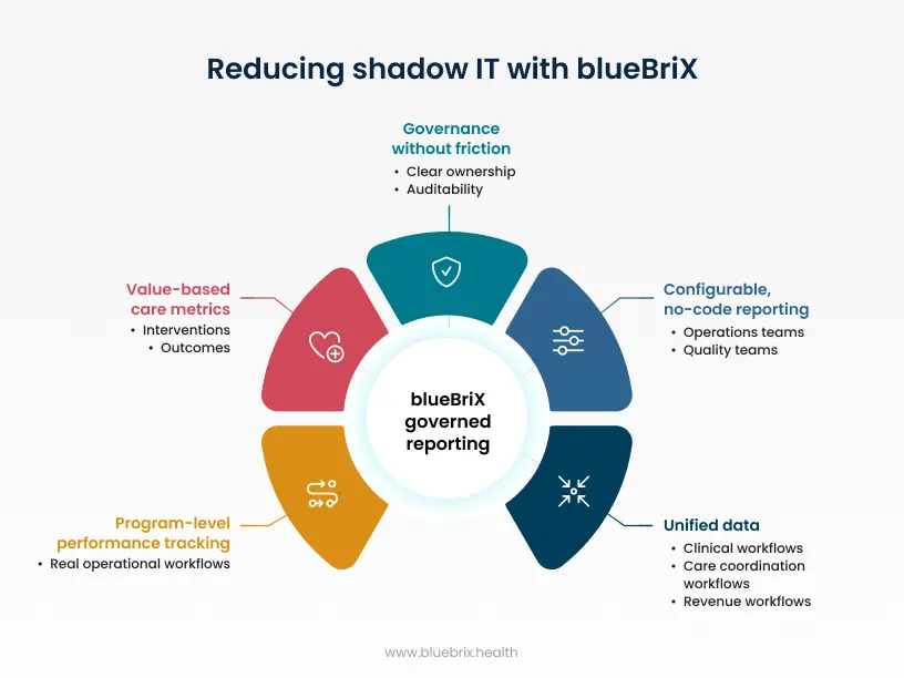 3.Reducing shadow IT with blueBriX