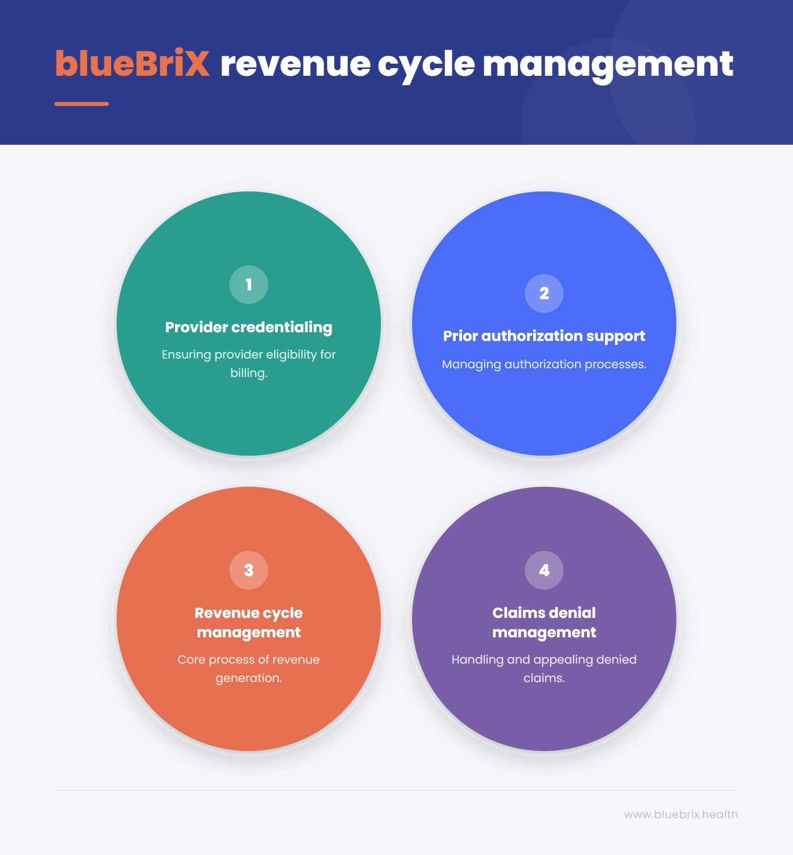 blueBriX revenue cycle management